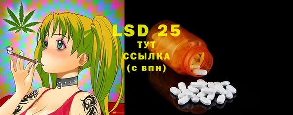 spice Богородицк