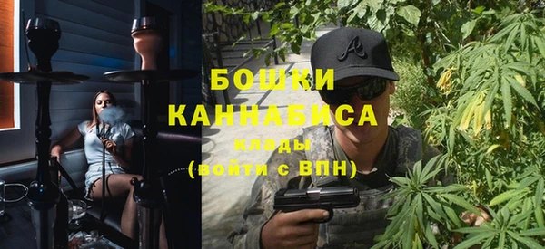 spice Богородск