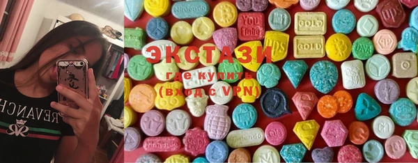 spice Богородицк