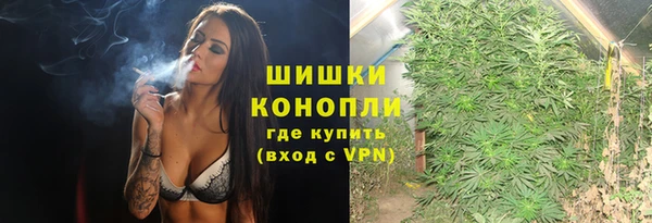 spice Богородск