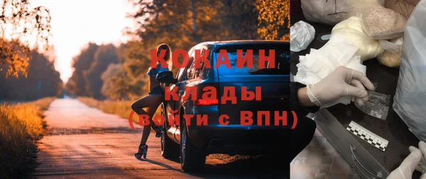 spice Богородск
