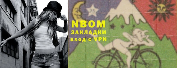 spice Богородицк