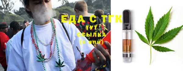 spice Богородицк