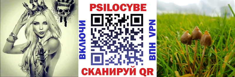 Галлюциногенные грибы Magic Shrooms  Котлас 